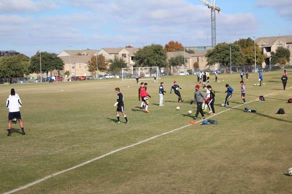 TDS Dallas Unsigned Showcase