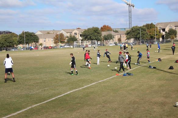 TDS Dallas Unsigned Showcase