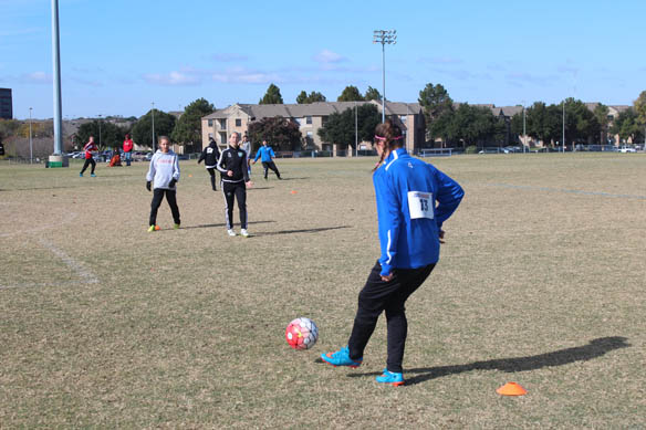TDS Dallas Unsigned Showcase